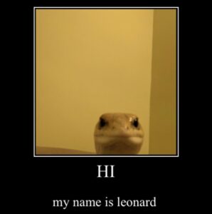 Leonard the Lizard